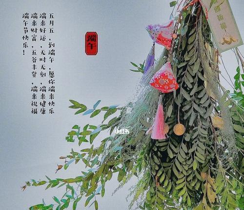 端午节挂艾草的寓意（传承民俗文化，祈求平安健康）