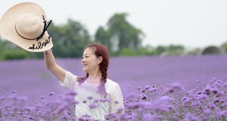 薰衣草的花语与意义（探索薰衣草的神秘花语和象征意义）