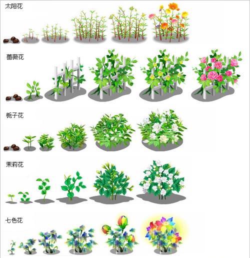 依米花的花语（探寻依米花的神秘世界——爱情、友情与希望）