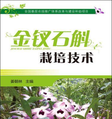 石斛兰种植方法和技术（打造石斛兰园区，让生命之花绽放）