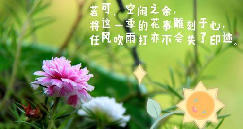 阳光花语——以向日葵为主题的希望之花（向日葵）