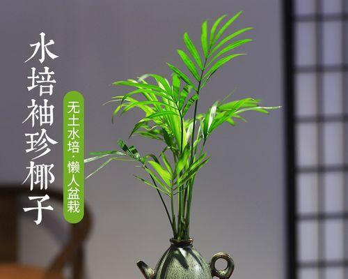 适合水培的10种小型植物（让小空间也能有绿色生机的选择）