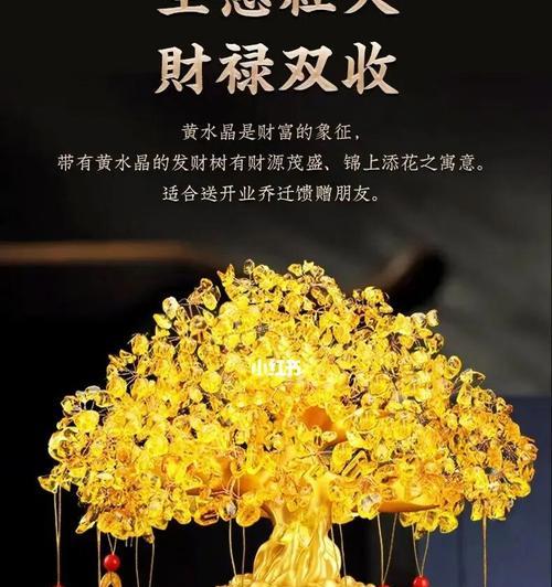 发财树（探索发财树的财富吉祥之道）