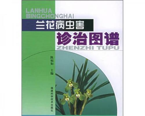 兰花虫害防治全攻略（从根本上解决兰花虫害问题，让你的兰花开得更加美丽）