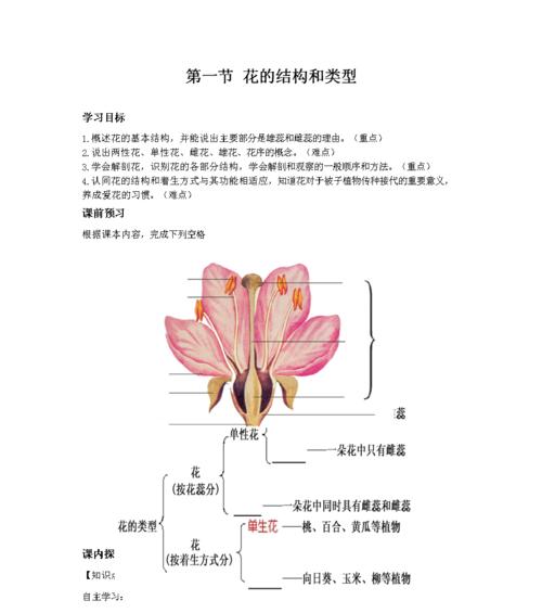 花最重要的结构是什么（常见的花的结构介绍）