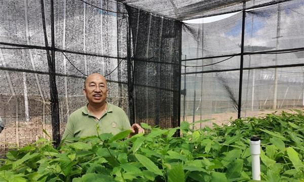 食用菌栽培分哪几步（详解食用菌栽培技术与管理）