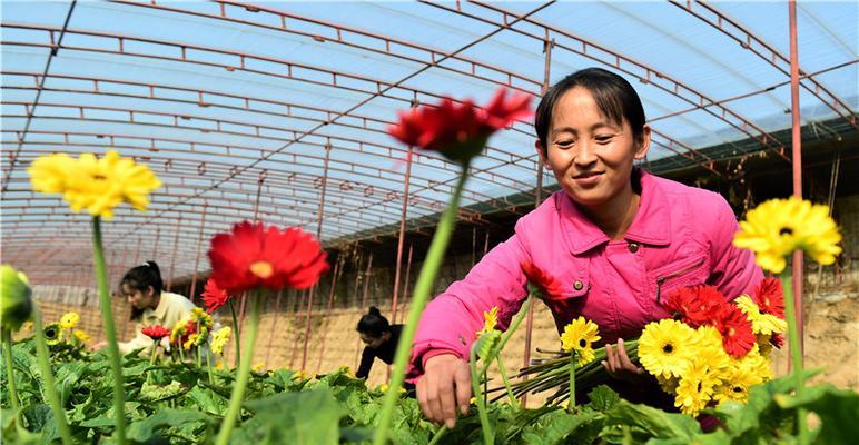 种大棚需要什么技术（大棚蔬菜种植新技术）