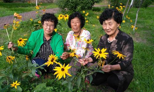 友情的花花（用花朵浇灌友情的园地）