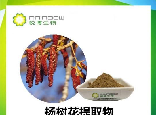 毛白杨是什么植物（有关毛白杨简介）