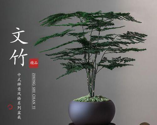 客厅适合养什么植物（适合客厅养的绿植大全）