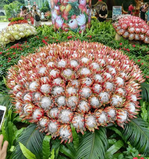 花卉象征财富与吉祥（用花朵寓意传递幸福与繁荣）