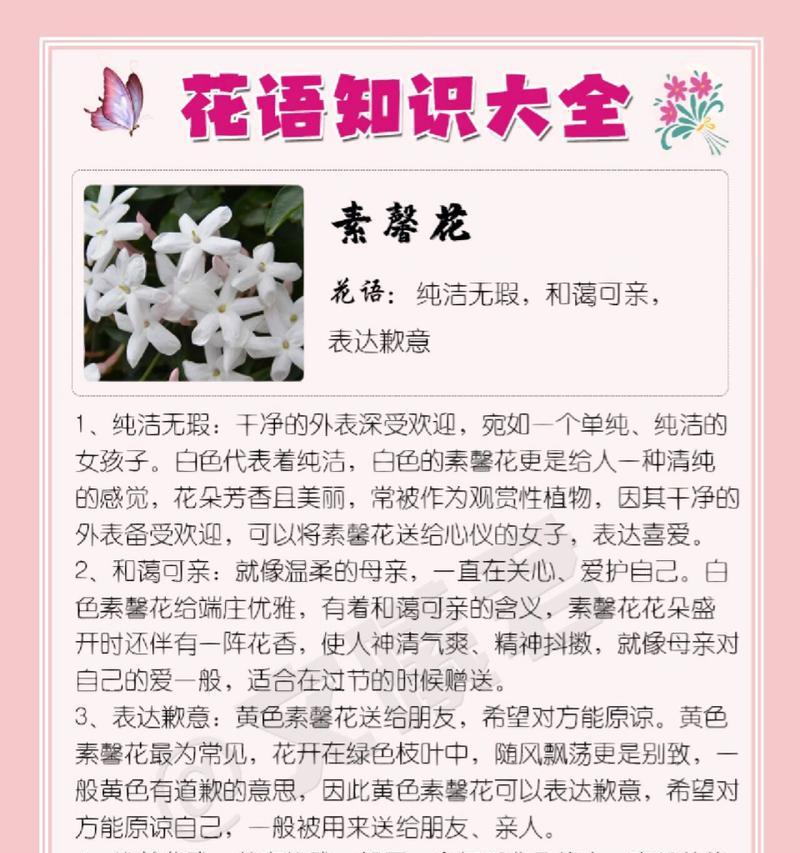 粉掌的花语与意义（揭开粉掌花所传达的深刻寓意）