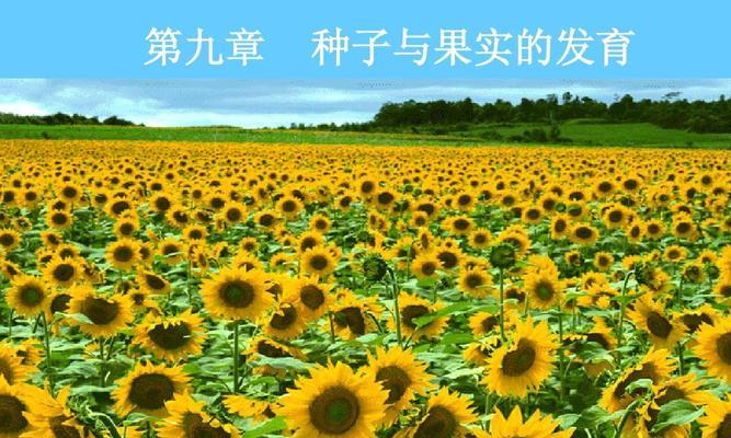 被子植物的种子结构及其功能剖析（从结构到发育）