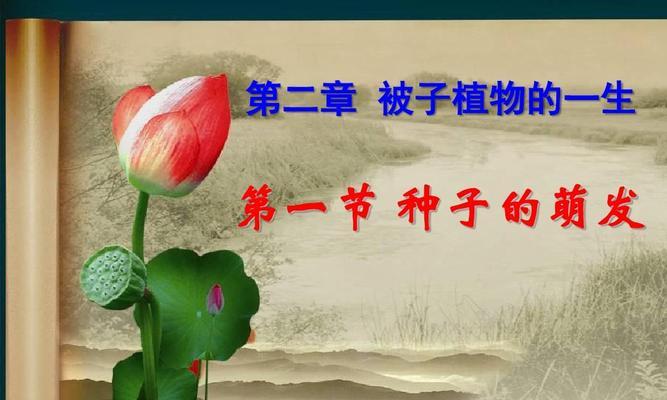 被子植物的种子结构及其功能剖析（从结构到发育）