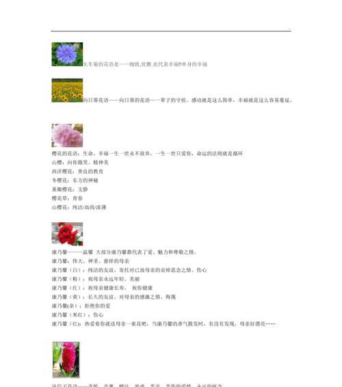 绣球花——花开寓意与美丽故事（绣球花的花语及代表意义）