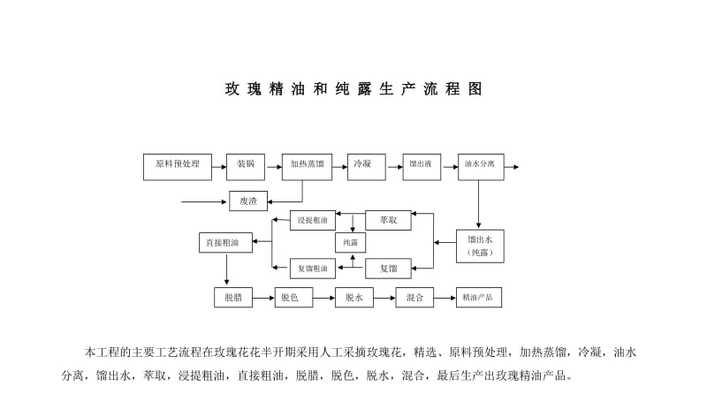 多肉玫瑰的繁殖与栽培技术（打造自己的多肉玫瑰园——如何成功繁殖多肉玫瑰）