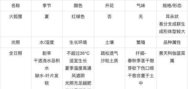 多肉炭疽病的病因、症状及治疗方法（多肉植物易感染的原因）