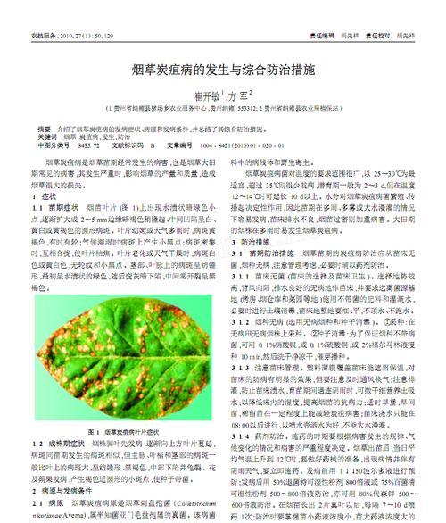 多肉炭疽病的病因、症状及治疗方法（多肉植物易感染的原因）