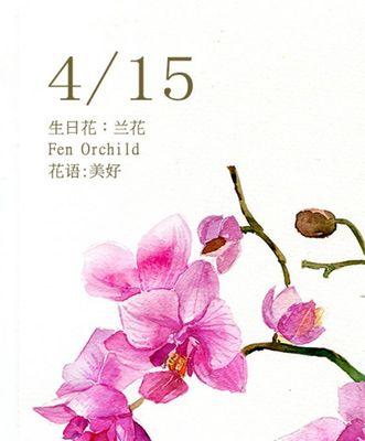 四朵玫瑰花的花语解读（四朵玫瑰花的花语深意及象征意义）