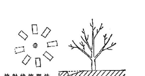 硫酸钙肥料的施用方法与效果分析（从科学角度解析硫酸钙肥料的施用原理和注意事项）