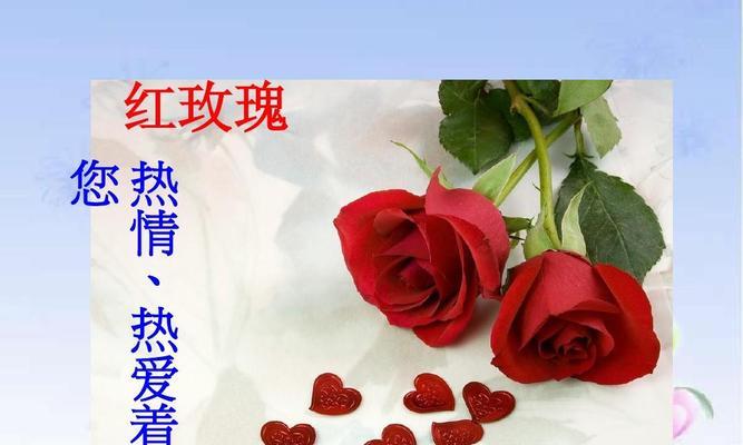 红玫瑰花语的深意（探索11朵红玫瑰的花语和含义）