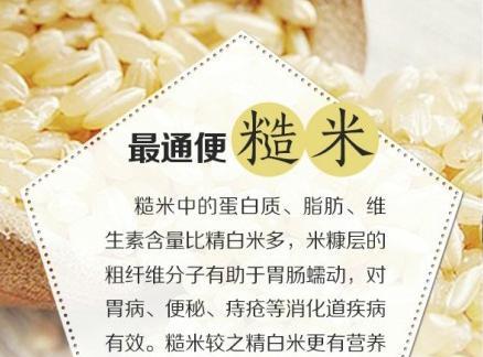 粟米的丰富营养与多样食用方式（探究粟米的功效与作用）