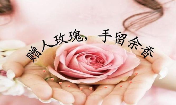 13朵玫瑰的花语之解读（玫瑰的象征意义与深远感悟）