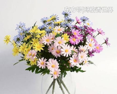 花之幸运与好运是什么？花朵背后的吉祥象征是什么？