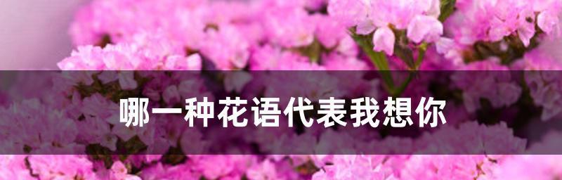 表示再见的花花语是什么？再见的花有哪些？