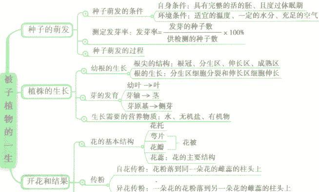 白菜种子催芽方法是什么？白菜种子的催芽技巧有哪些？