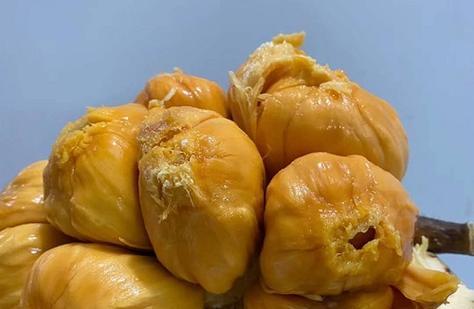 菠萝蜜钻心虫防治方法是什么？菠萝蜜钻心虫打什么农药好？