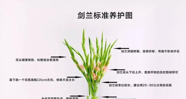 菜花保存方法储存与保鲜方法是什么？菜花的储存和保鲜方法是什么？