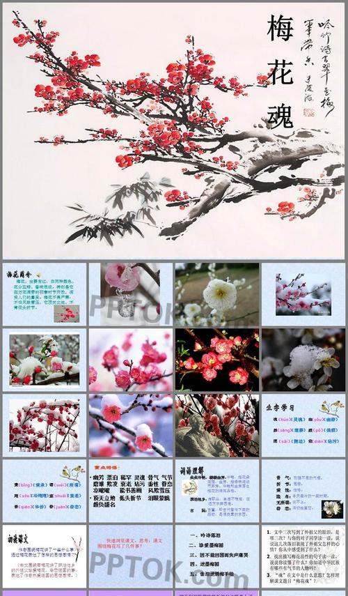 梅花什么时候换盆最好？梅花换盆时间和方法是什么？