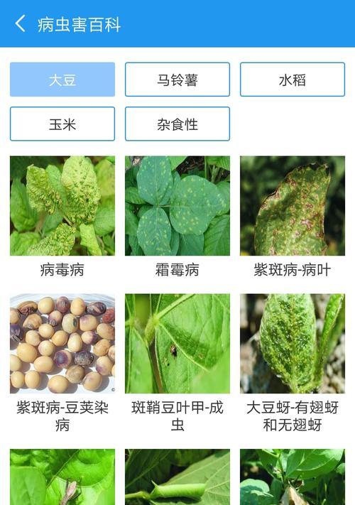 农作物病虫害怎么防治？有效防治技术和方法有哪些？