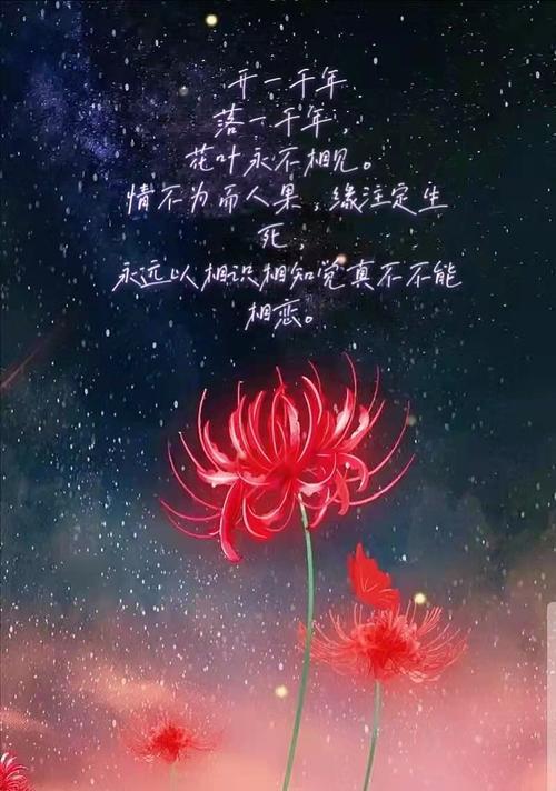 每个花的花语是什么？不同花的花语有哪些？