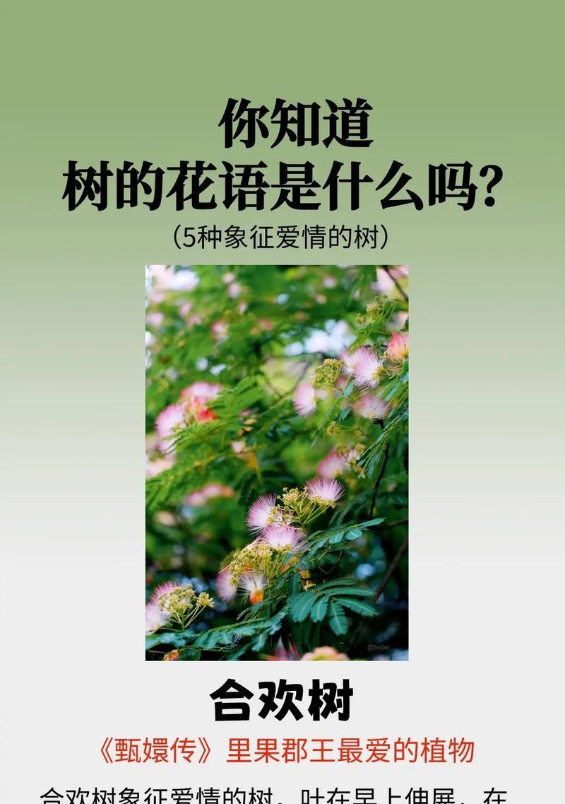 花草树木的寓意是什么意思？它们在文化中代表了什么？