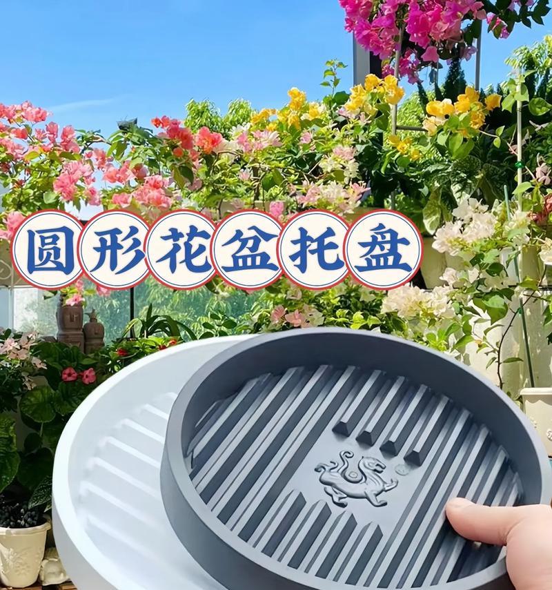 圆盘子花盆如何美观制作？好看实用花盆的制作技巧是什么？