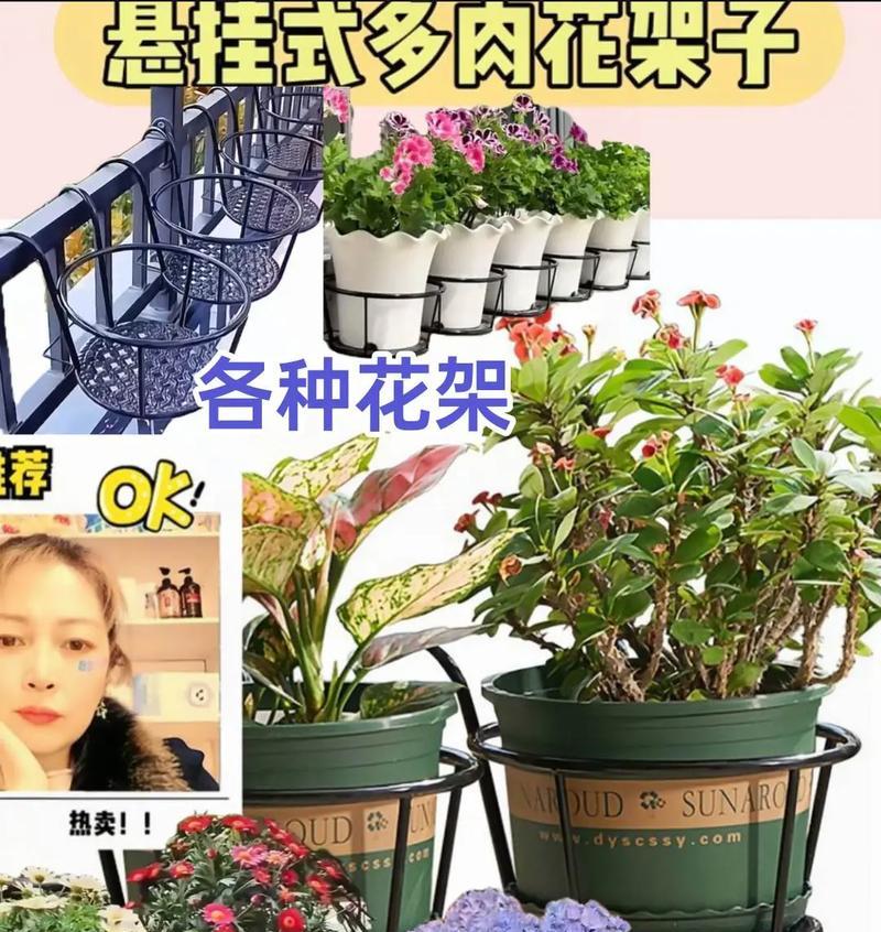 花架有哪些创意的使用方法？如何选择合适的花架？