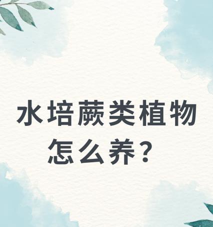 水培植物根部如何生长？有哪些注意事项？