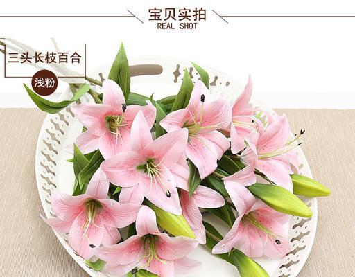 送白百合花代表什么意思？白百合花语有哪些含义？