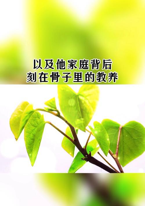 象征责任与担当的植物有哪些？它们各自代表什么含义？