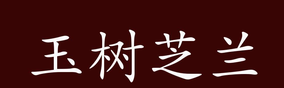 玉兰花语是什么？它代表了哪些意义？