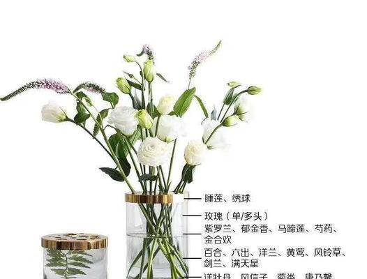 百合种球保存方法有哪些？如何正确存储以保持活性？