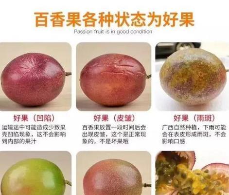 百香果什么时候种植最合适？种植方法有哪些常见问题？