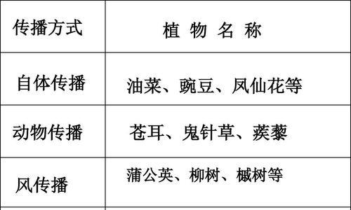 百子莲分株的最佳时机是什么时候？分株后如何护理？