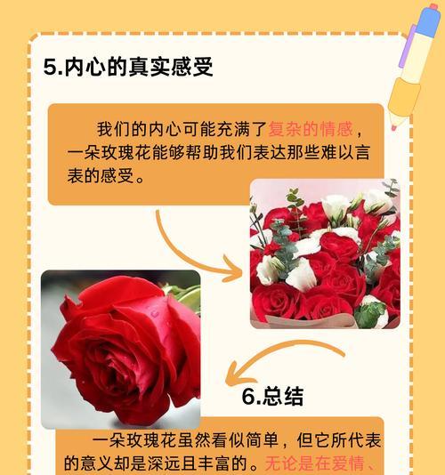 65个玫瑰花的花语是什么？