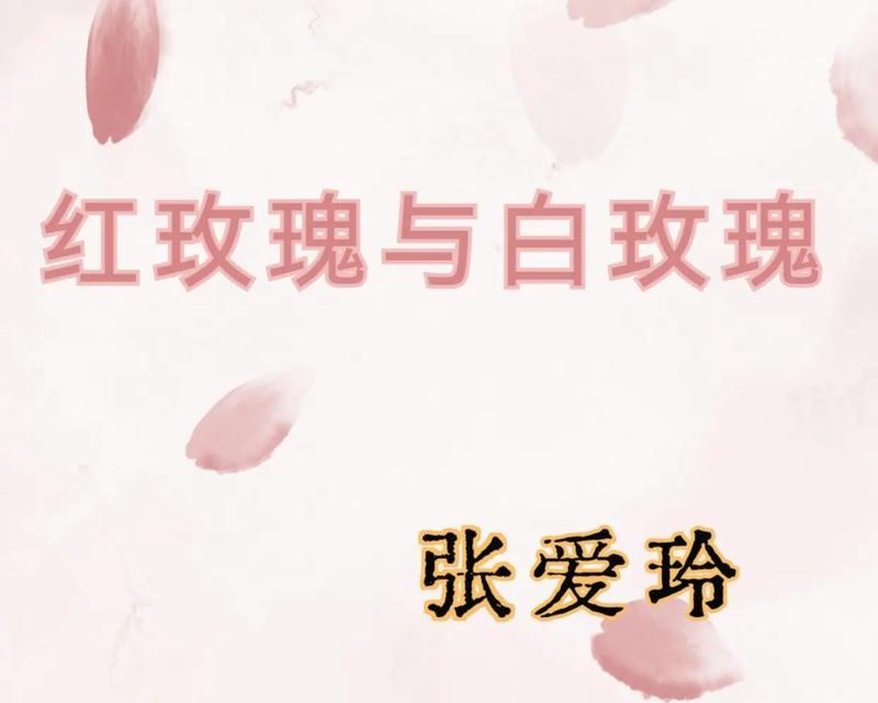 情人节白玫瑰与红玫瑰有何区别？各自的含义是什么？