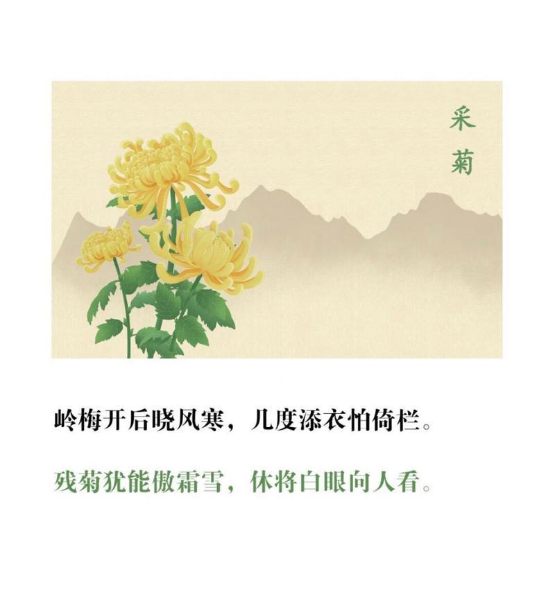 文人墨客如何赞美菊花？有哪些著名的句子？