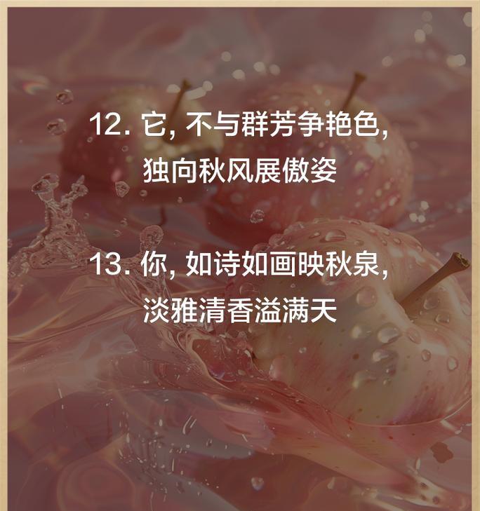 菊花的优美句子有哪些？图片中如何简单欣赏？