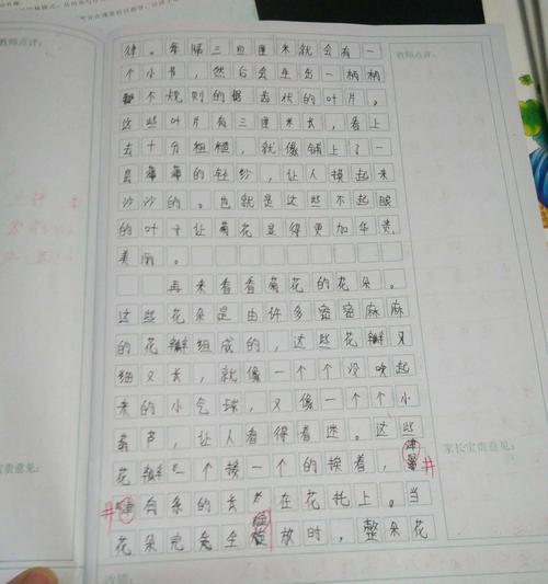 关于菊花的结尾50字作文说明文